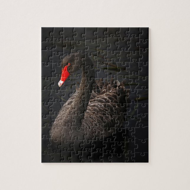 Puzzle Cisne negro (Vertical)