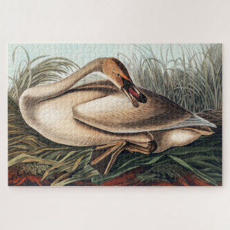 Puzzle Cisne trompetero por John James Audubon