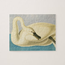 Cisne trompetero por John James Audubon, ave vinta