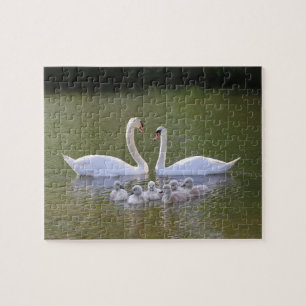 Puzzle Cisne y cignets