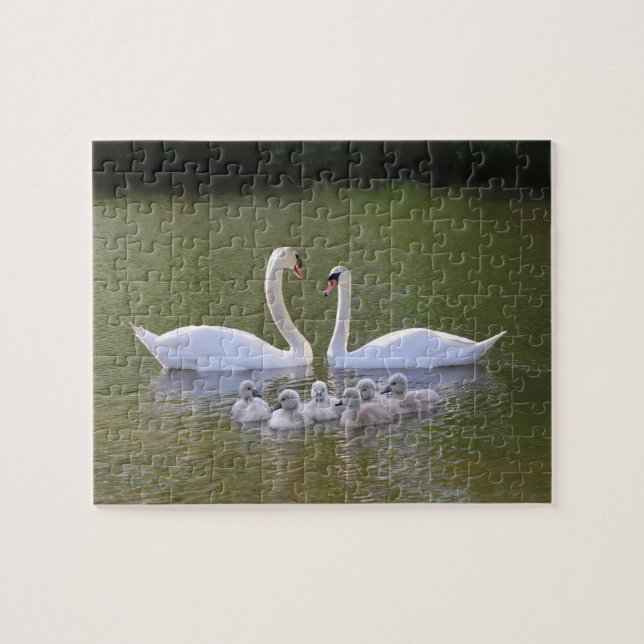 Puzzle Cisne y cignets (Horizontal)