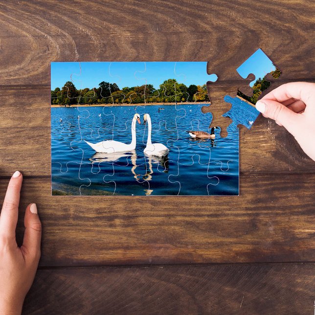 Puzzle Cisnes blancos en los jardines Round Pond Kensingt (Subido por el creador)