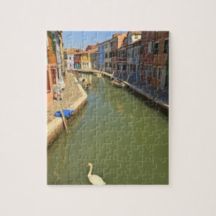 Puzzle Cisnes en canal, isla de Burano, Venecia, Italia