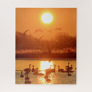 Puzzle Cisnes en el lago Sunset