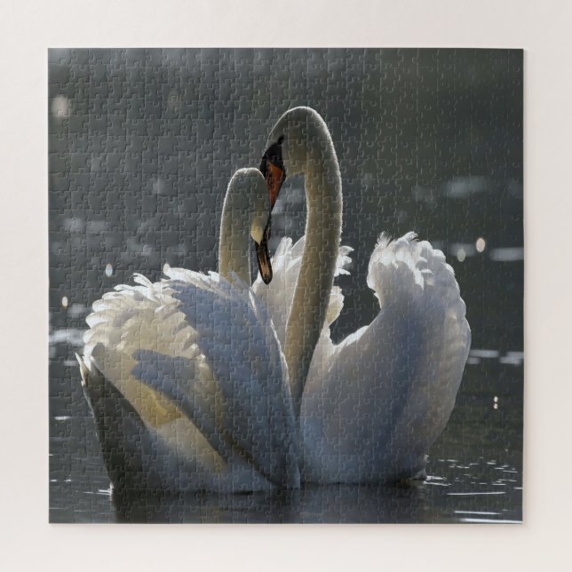 Puzzle Cisnes Enamorados (Vertical)