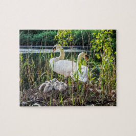 Puzzle Cisnes y pollos del cisne