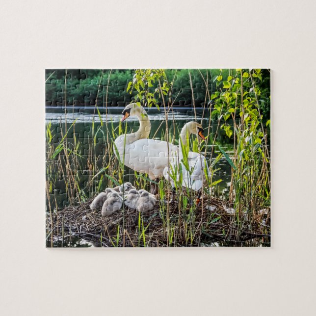 Puzzle Cisnes y pollos del cisne (Horizontal)