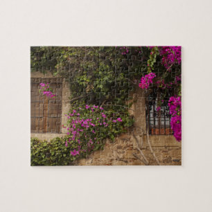 Puzzle Ciudad Monumental, edificios floridos