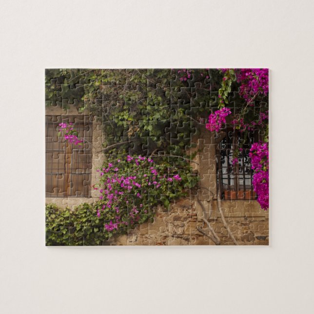 Puzzle Ciudad Monumental, edificios floridos (Horizontal)