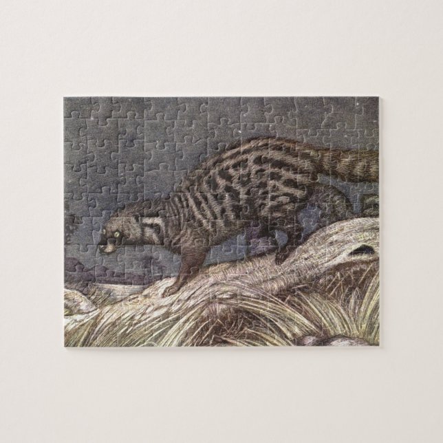 Puzzle Civet americano de Louis Sargent, animales de époc (Horizontal)
