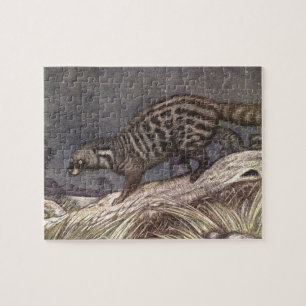 Puzzle Civeta americana por Louis Sargent, Animales antig