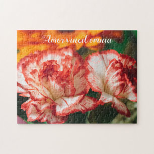 Puzzle Claveles a rayas y gerbera