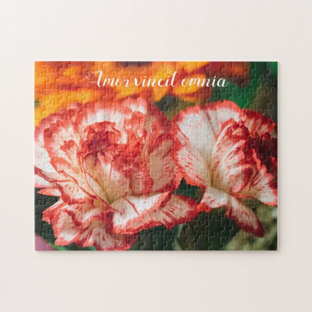 Puzzle Claveles a rayas y gerbera (Horizontal)