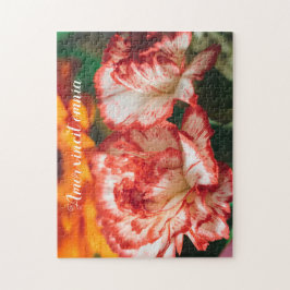 Puzzle Claveles a rayas y gerbera