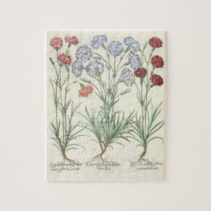 Puzzle Claveles: albo múltiplex del flore 1.Caryophyllus;