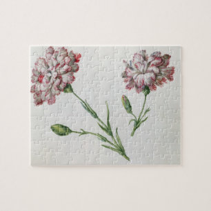 Puzzle Claveles (w/c en el papel)