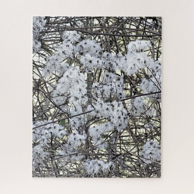 PUZZLE CLEMATIS (Vertical)