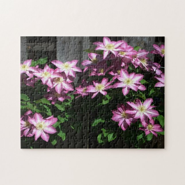 Puzzle Climbing Clematis Purple Spring Flowers (Horizontal)