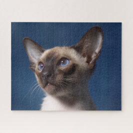 Puzzle Close up of a Siamese Cat with Blue Eyes