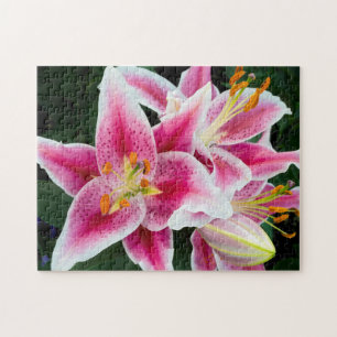 Puzzle Closeup de Lirio Oriental a pleno florecimiento