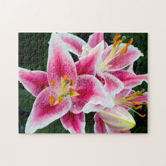Puzzle Closeup de Lirio Oriental a pleno florecimiento (Horizontal)