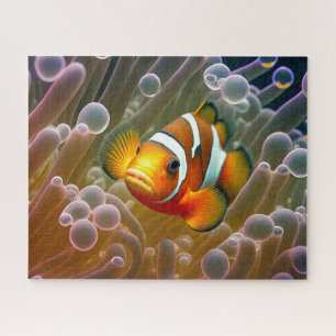 Puzzle Clownfish in Sea Anemone