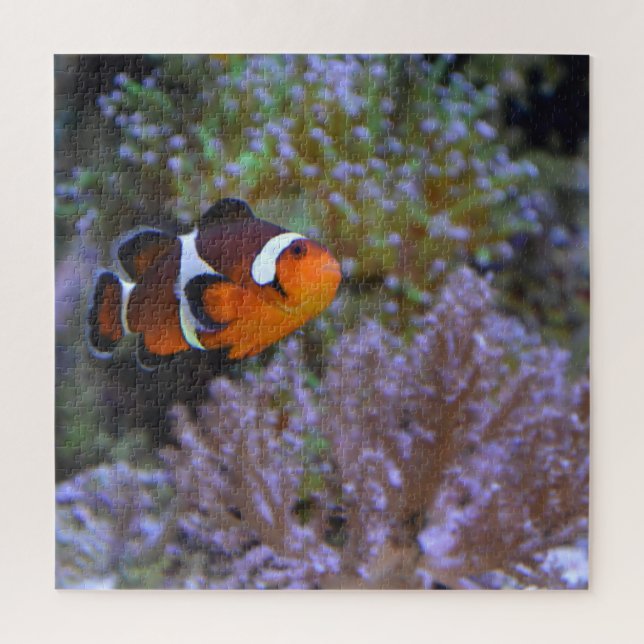 Puzzle Clownfish Sea Anemone Coral Underwater photography (Vertical)