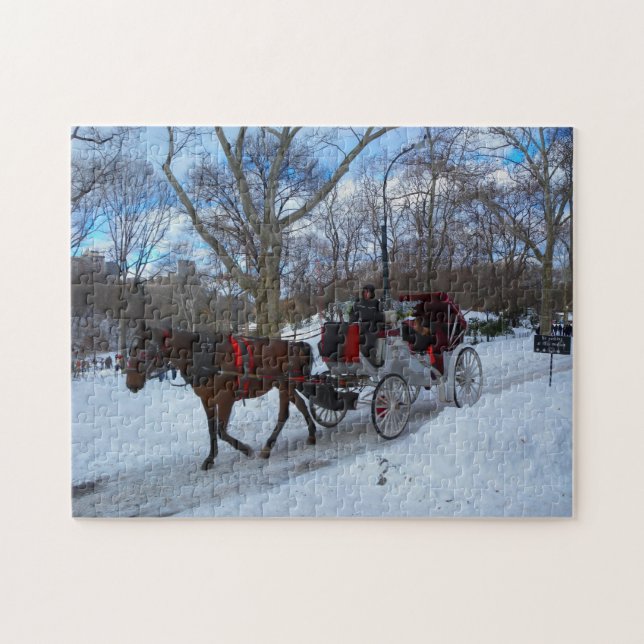 Puzzle Coche de caballos en Central Park Nueva York. (Horizontal)