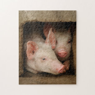Puzzle Cochinillos curiosos