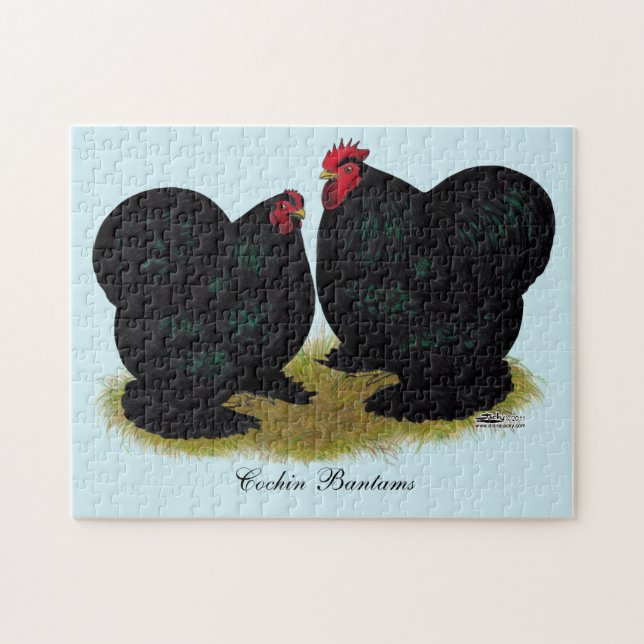 Puzzle Cochins Black Bantam Pair (Horizontal)