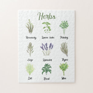 Puzzle Cocina de hierbas acuáticas Sage Thyme Green Plant