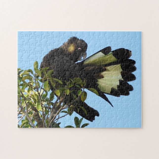 Puzzle Cockatoo (Horizontal)