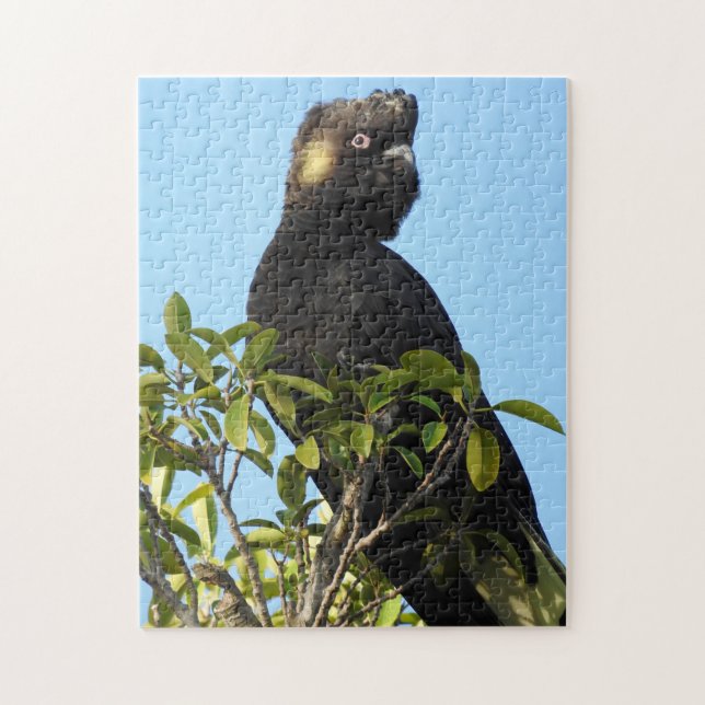 Puzzle Cockatoo (Vertical)