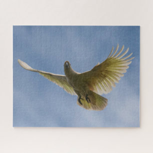 Puzzle Cockatoo de crema de azufre australiana, 520 pieza