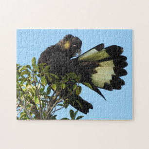 Puzzle Cockatoo negro Amarillo-atado