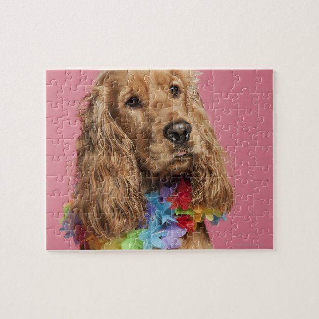 Puzzle Cocker español inglés (10 meses de edad) (Horizontal)