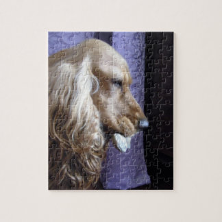 Puzzle Cocker spaniel