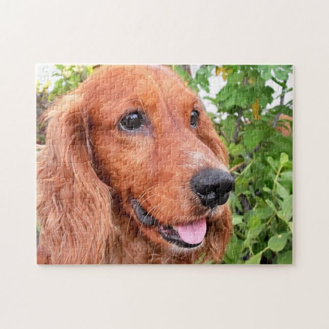 Puzzle Cocker Spaniel Dog (Horizontal)