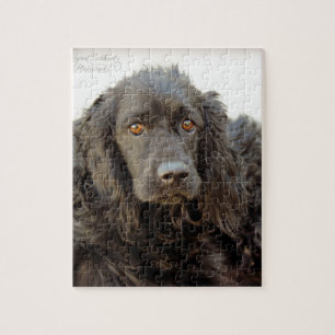 Puzzle Cocker spaniel negro "Harley "