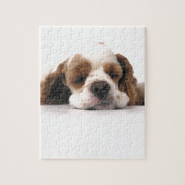 Puzzle Cocker spaniel rojo/blanco el dormir (Vertical)