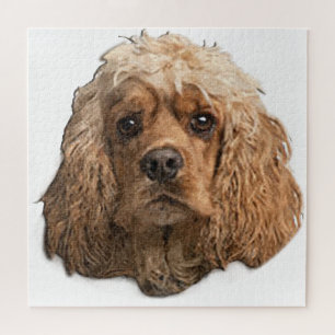 Puzzle cocker Spaniels