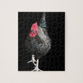 Puzzle Cockerel de la correa negra no 3