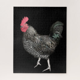 Puzzle Cockerman negro no 4