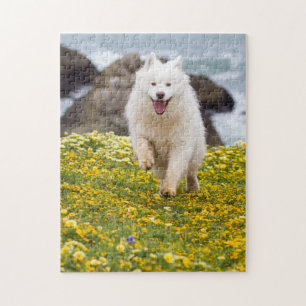 Puzzle Coco - Flores