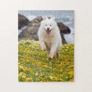 Puzzle Coco - Flores