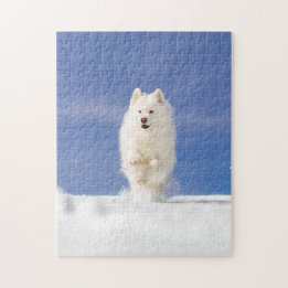 Puzzle Coco - Oso de Nieve