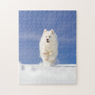 Puzzle Coco - Oso de Nieve