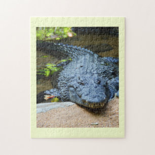 Puzzle Cocodrilo