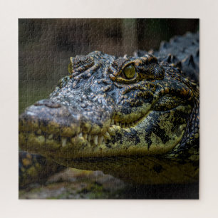 Puzzle Cocodrilo