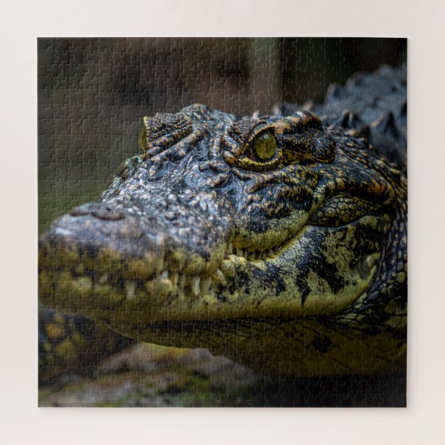 Puzzle Cocodrilo (Vertical)